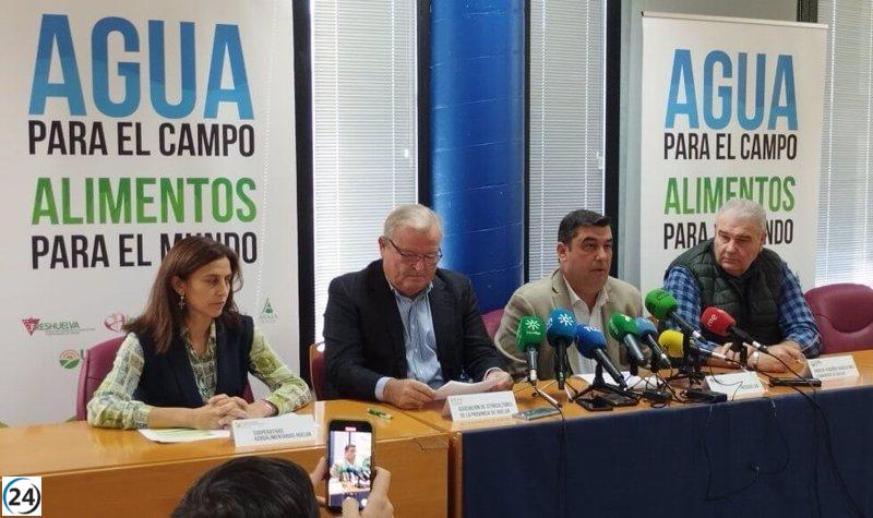 Agricultores onubenses se movilizarán en Sevilla el 1 de febrero en búsqueda de respuestas para el sector