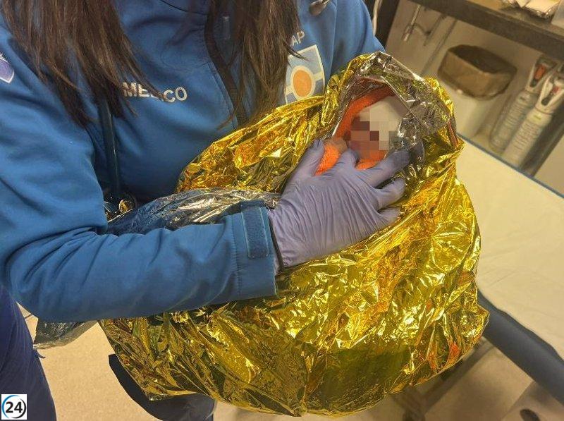 Madre biológica de bebé encontrada con vida en contenedor de basura de Los Palacios (Sevilla) es arrestada