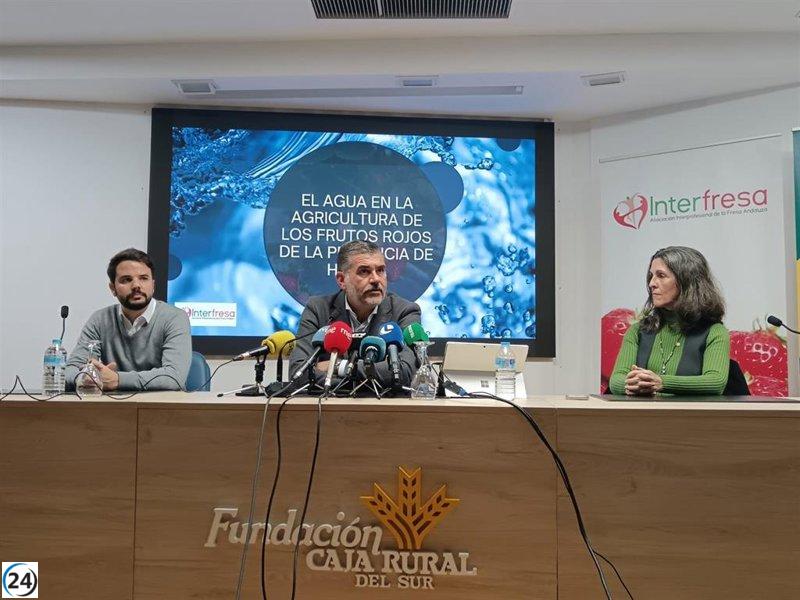 La producción de frutos rojos en Huelva es 