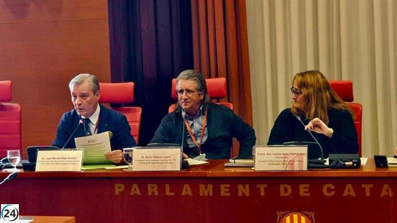 Las DO de aceite de oliva exigen igualdad de requisitos a productos extracomunitarios para evitar competencia injusta.