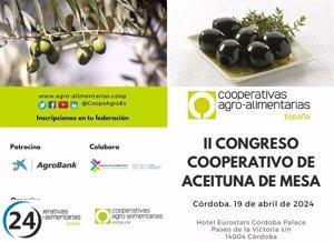 II Congreso Cooperativo de Aceituna de Mesa reúne a las principales productoras de Andalucía y Extremadura en Córdoba