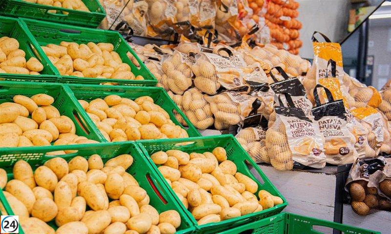 Mercadona planea vender 25.000 toneladas de patatas andaluzas en 2024, un aumento del 19% respecto al año anterior.