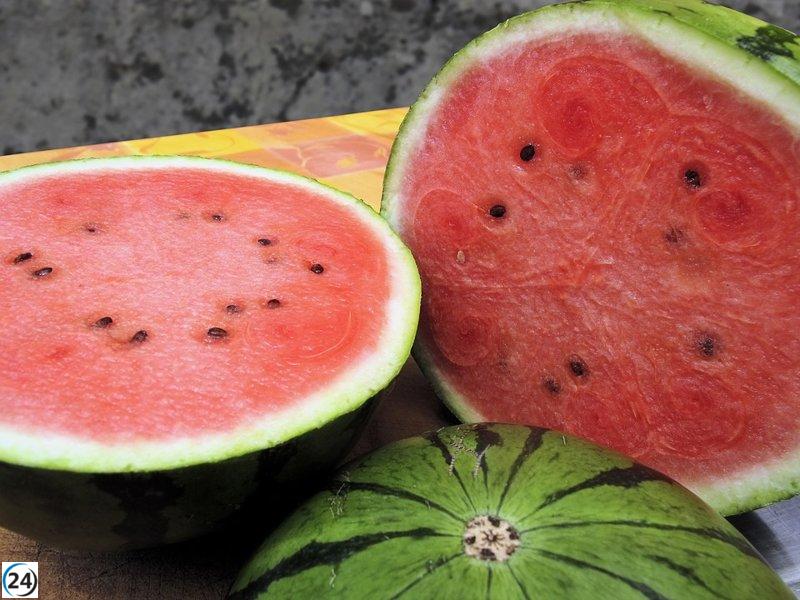 Grandes cadenas alimentarias especulan con el precio de la sandía, según COAG Almería