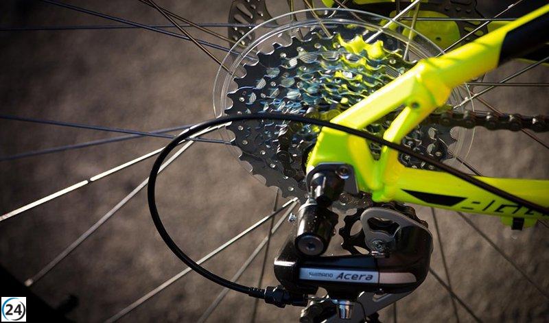 Trágico accidente en Chiclana: ciclista fallece al ser impactado por un camión en la A-48.