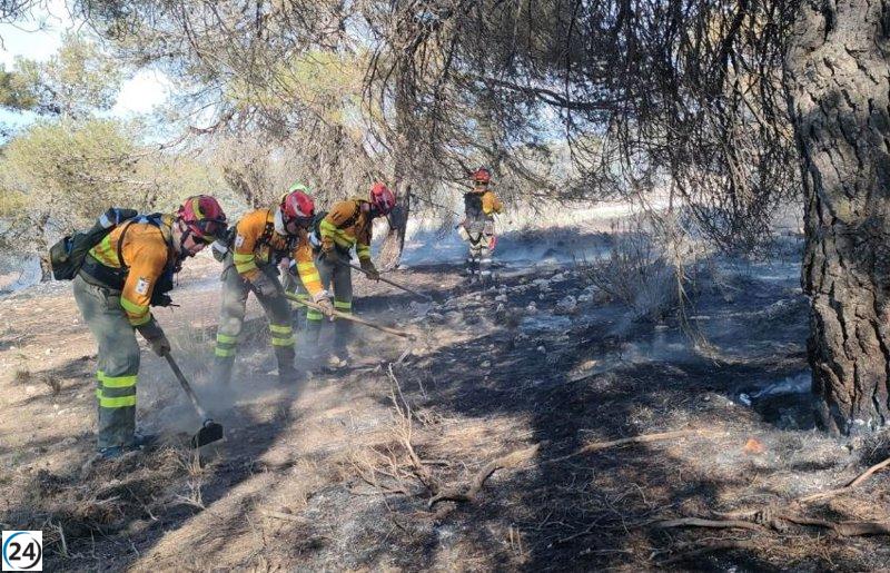 El Infoca anuncia fin del incendio en El Jabonero, Níjar (Almería)