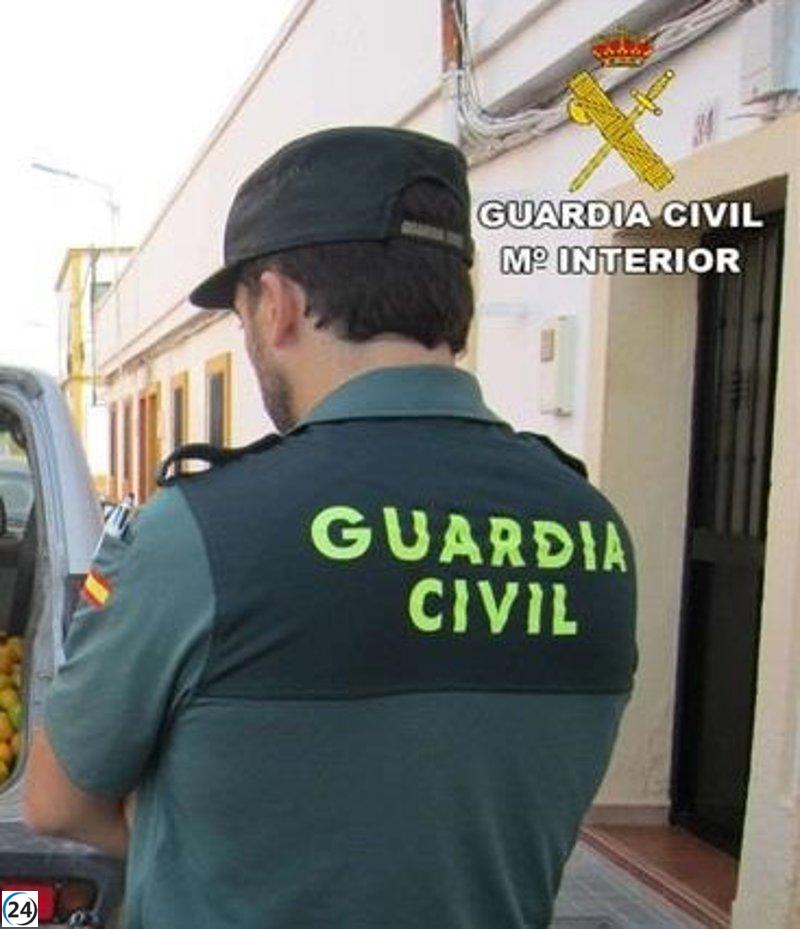Grupo criminal desmantelado por contrabando de marihuana desde Málaga a Países Bajos y Reino Unido