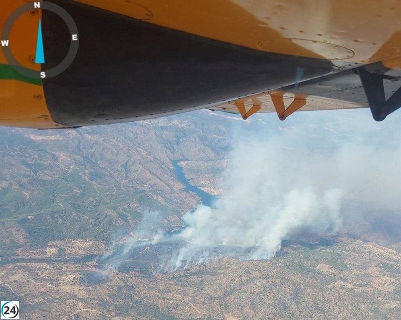 Medios aéreos y equipos de rescate combaten incendio cerca de embalse en Andújar, Jaén.