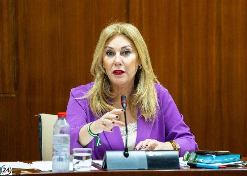 El jueves se discutirá en el Parlamento español sobre los contratos de emergencia.