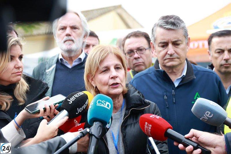 La alcaldesa de Jerez solicita al Gobierno que incluya a su municipio en el decreto de zonas afectadas por DANA.