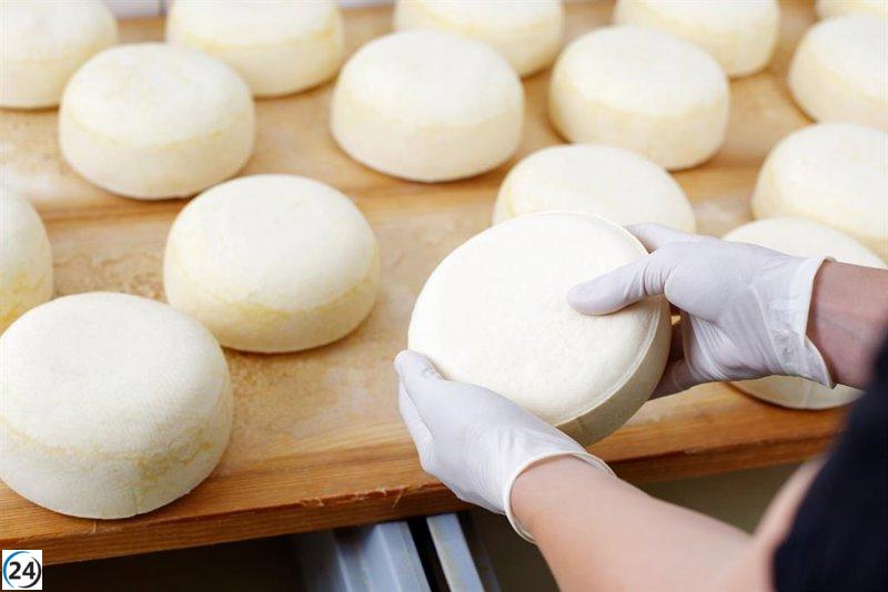 Fernández-Pacheco aplaude a las cuatro queserías andaluzas premiadas en los World Cheese Award.