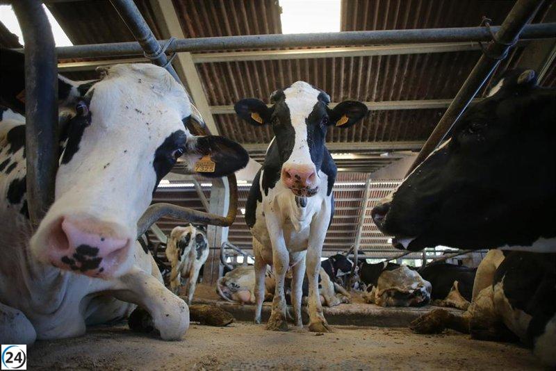 El acuerdo con Mercosur preserva la seguridad alimentaria y salvaguarda la IGP de productos como el brandy de Jerez y el jamón de Jabugo.