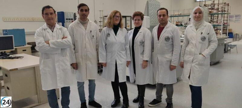 Innovador método en Jaén convierte alperujo de oliva en biocombustible usando microondas.