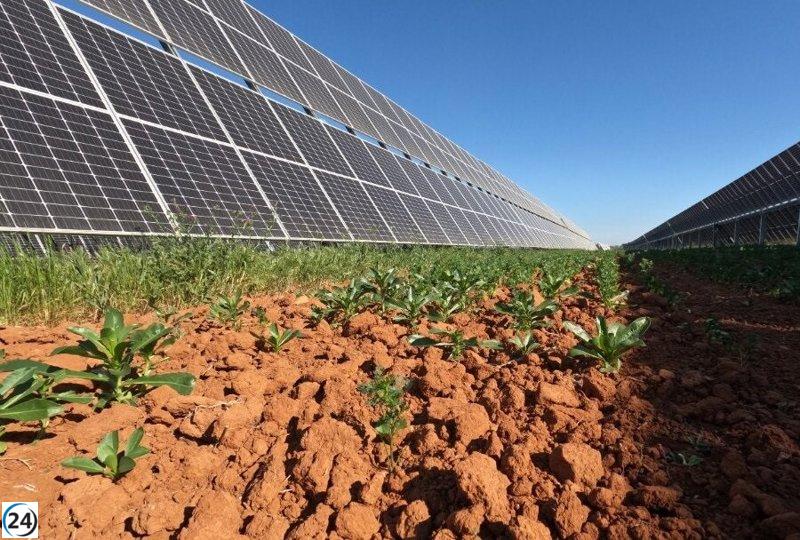 Endesa afirma que más del 60% de su producción energética en Andalucía proviene de fuentes renovables.