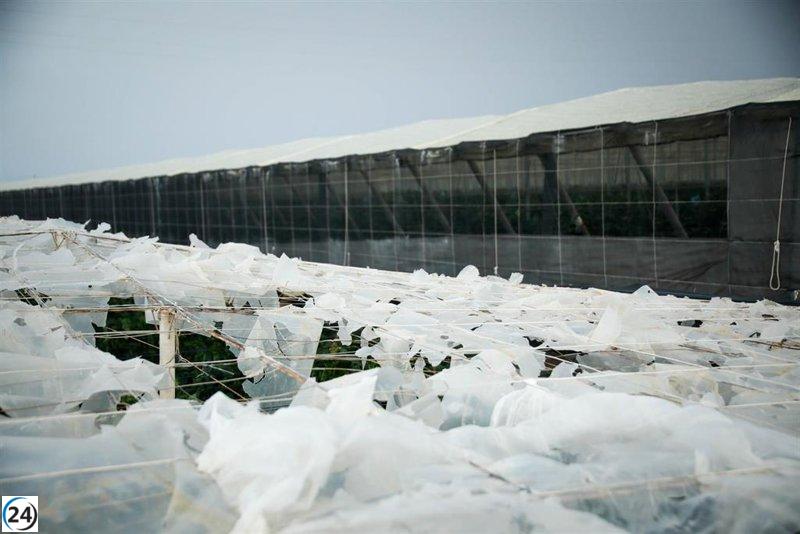 El Gobierno desembolsa 3,48 millones de euros para apoyar a 175 agricultores y ganaderos andaluces por daños de la DANA.