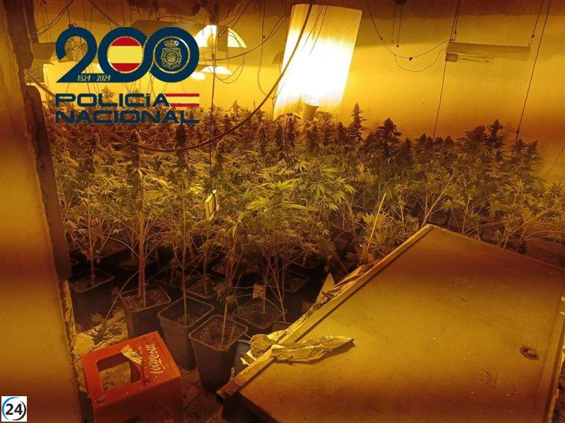 Desmantelan narcopunto cerca de un colegio en Sevilla tras denuncias por olor a marihuana.