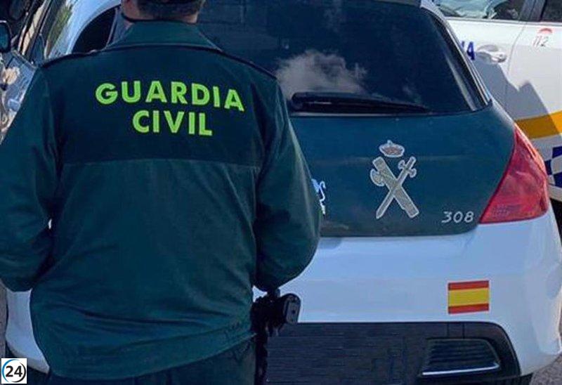 Descubren el cadáver de un hombre en un olivar en Úbeda, Jaén.