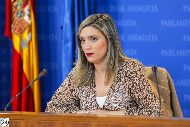 El PSOE-A demanda claridad a la Junta sobre el aumento de 1.000 millones en la deuda de Andalucía tras rechazar la condonación.