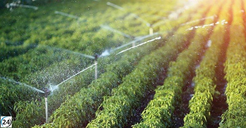 CHG asegura solo un 30% de recursos para riego debido a la desigualdad en las lluvias.