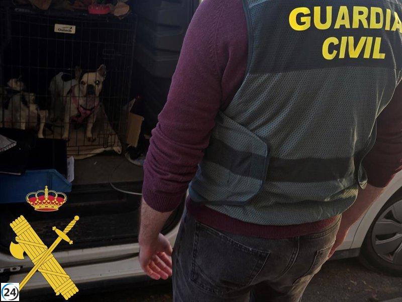 Desmantelan red en Roquetas que operaba como falsa protectora de animales: dos arrestos y seis bajo investigación.