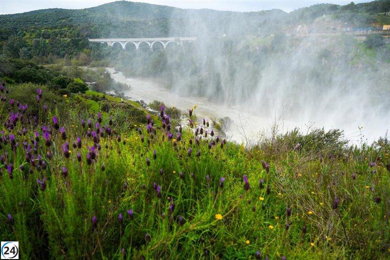 Los embalses de Andalucía alcanzan casi el 50% de su capacidad, superando la media de la última década.