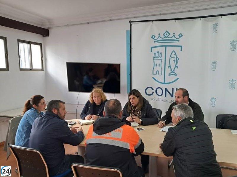 El vendaval de la borrasca Laurence derriba más de cien pinos en Conil, Cádiz.