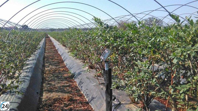 Los comités de sequía en Andalucía se reúnen este martes para discutir el aumento de agua para riego y consumo.