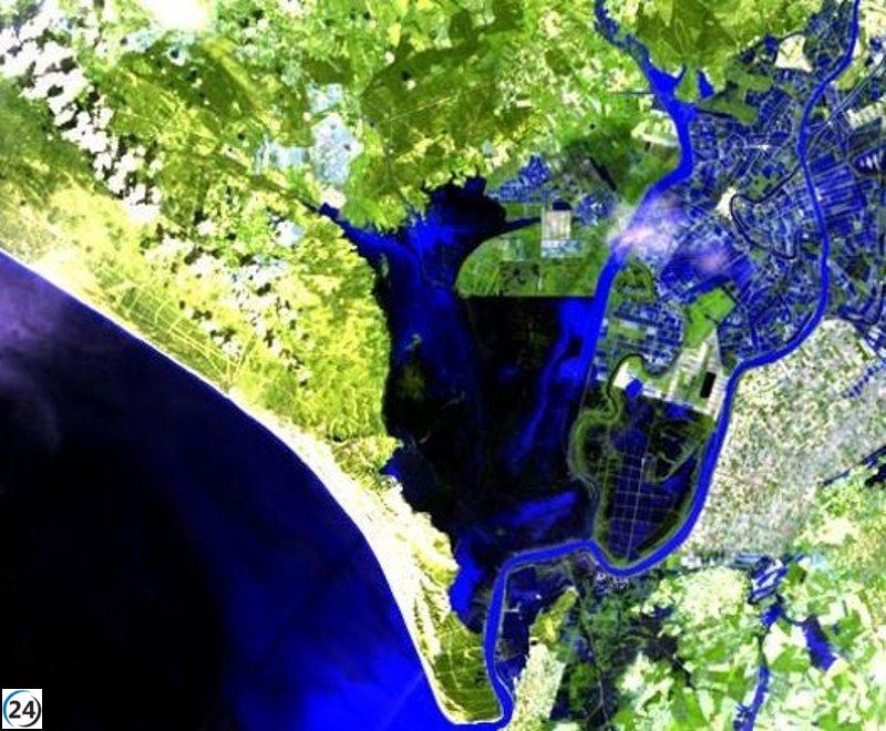La marisma de Doñana se inunda casi por completo y los anfibios comienzan a reaparecer.