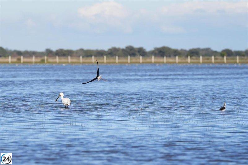 Director de Doñana asegura que la exploración de gas no impactará el parque ni su estatus en la Lista Verde.