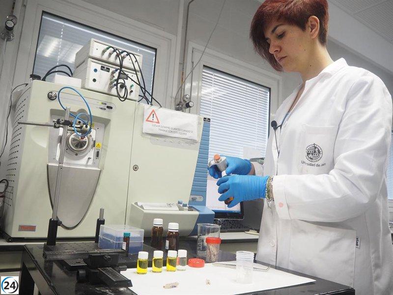 Crean innovador sistema para identificar fraudes en el aceite de oliva.