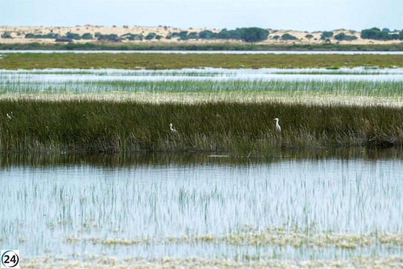 Grupos presionan al Gobierno para que descarte el almacenamiento de gas fósil en Doñana.