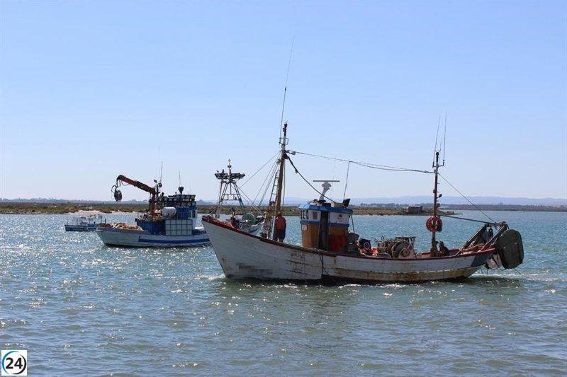 Andalucía destina 6,37 millones para apoyar a los pescadores por paradas temporales en 2025.