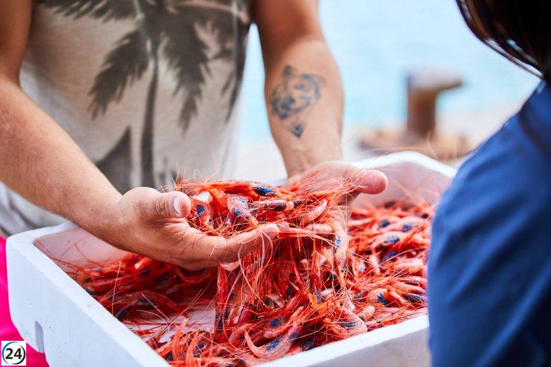 El Gobierno impulsará a la Comisión Europea a fortalecer la investigación sobre la pesca de la gamba roja.