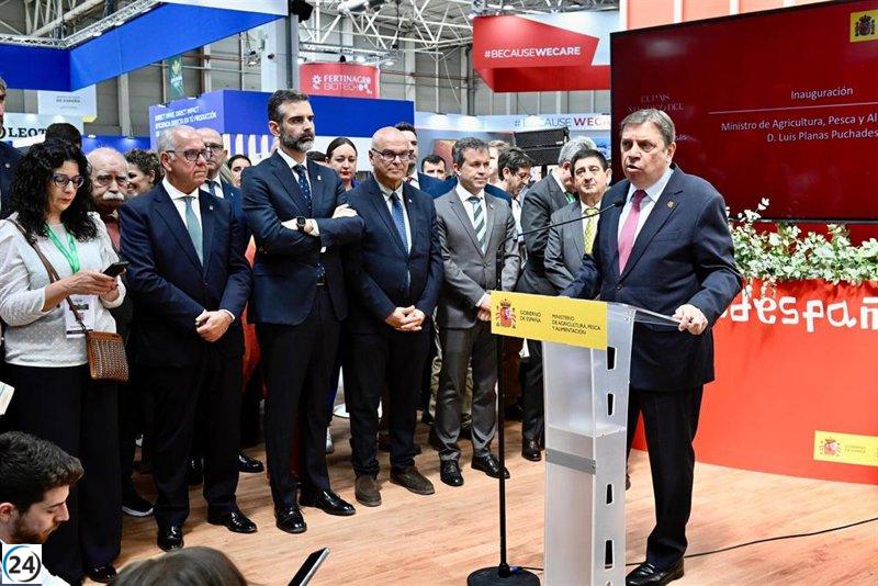 Planas propone alcanzar la meta de cuatro millones de toneladas de aceite de oliva en el mercado para 2040.