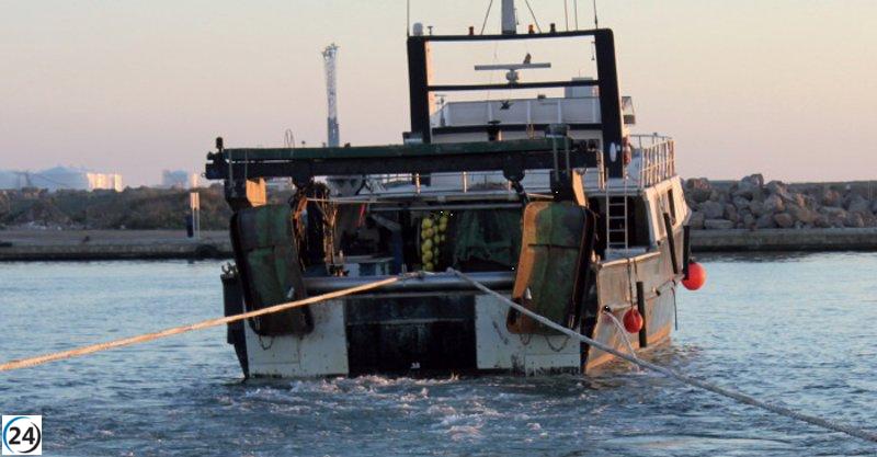 El Gobierno lanza un fondo de 1,6 millones para modernizar la pesca de arrastre en el Mediterráneo.