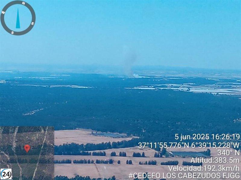 Apagan el fuego en Lucena del Puerto (Huelva), donde se registró otro incendio la semana pasada.