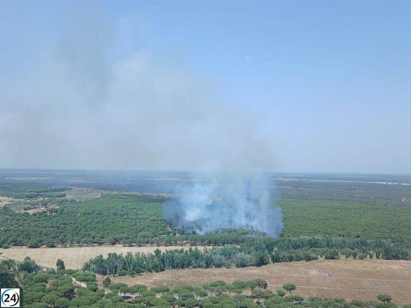 Incendio declarado en la zona de Camino del Cabezo Gordo, Almonte (Huelva).