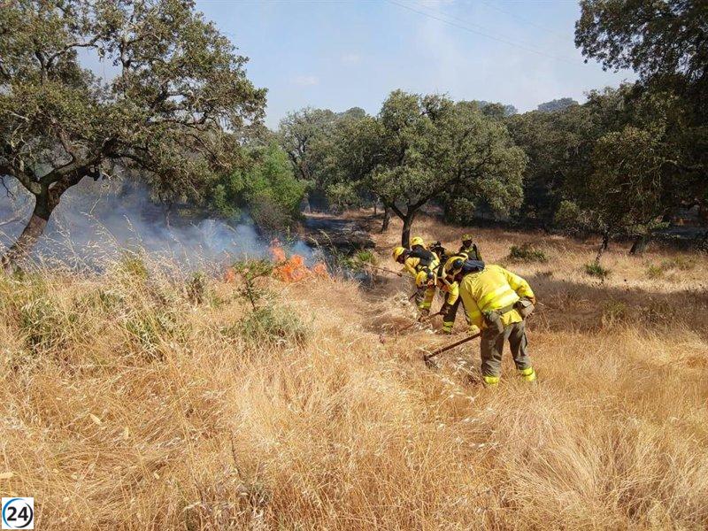 El incendio forestal de Zalamea La Real (Huelva) alcanza la preemergencia tras ser estabilizado.