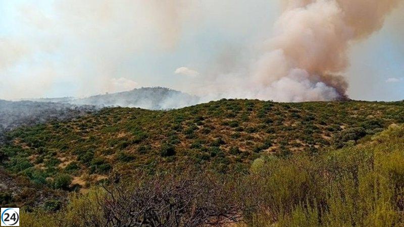 Controlado el incendio en la Sierra de Andújar, Jaén.