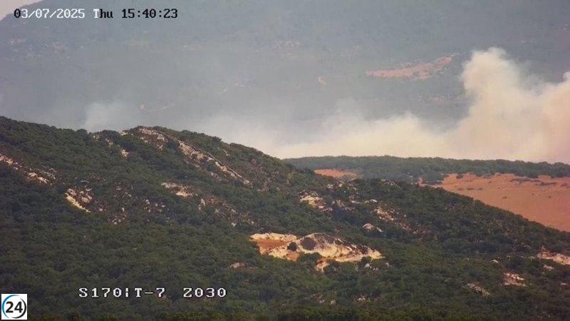 Incendio forestal en Tarifa (Cádiz) avivado por ráfagas de viento de levante.