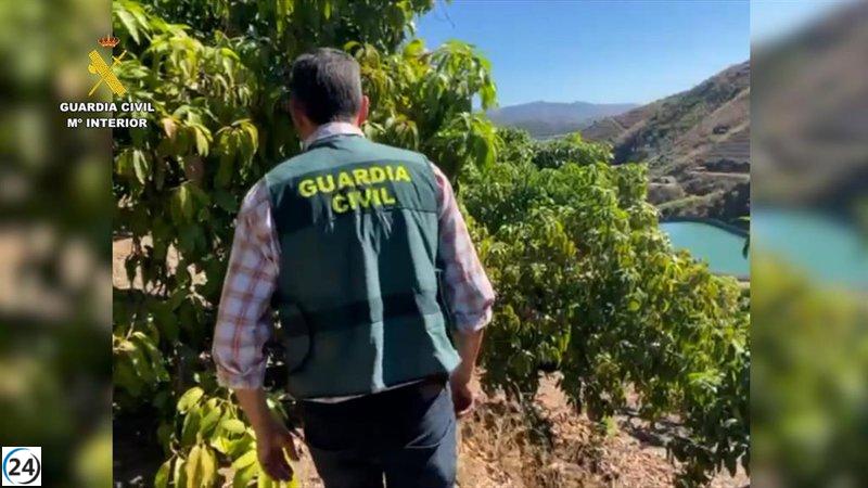 Cincuenta y cinco individuos bajo escrutinio por extracción ilegal de agua en Málaga.