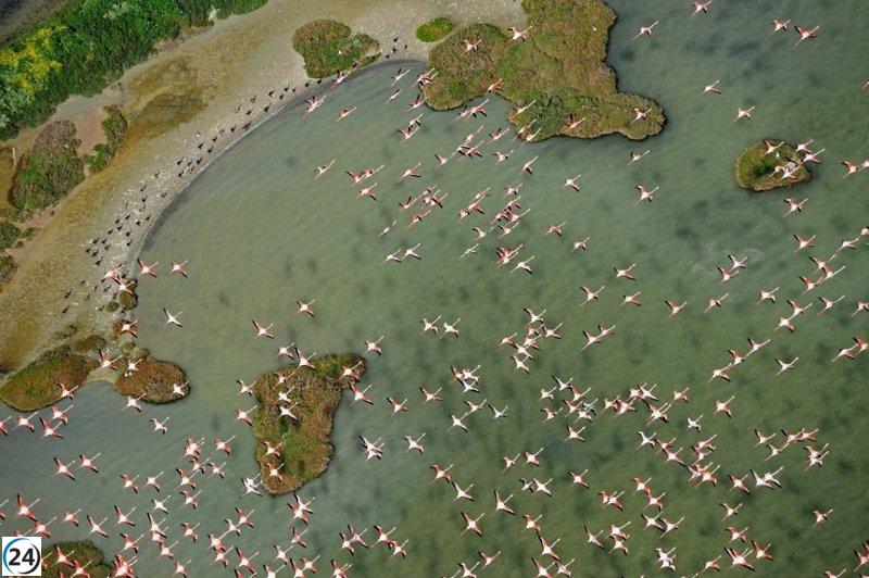 La Unesco insta a España a proteger el acuífero de Doñana para evitar su inclusión en la Lista de Patrimonio en Peligro.