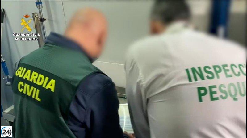 Detienen a empresario sevillano por comercializar ortiguillas de forma ilegal tras denuncia en Jaén.