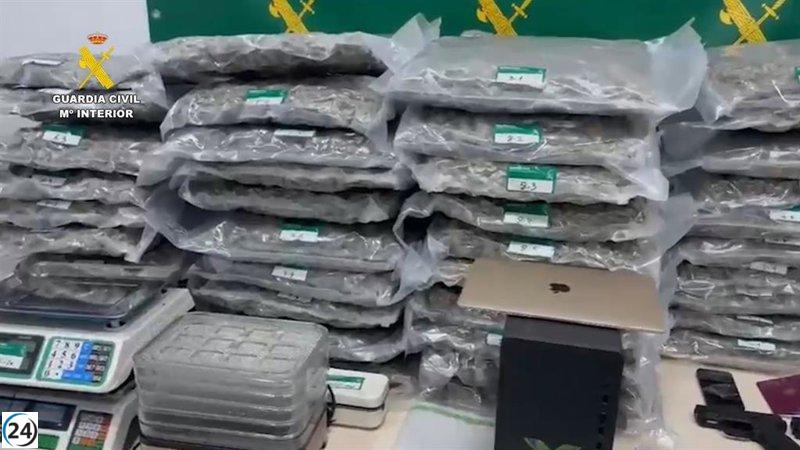 Desmantelan red internacional de narcotráfico en la zona poniente: tres arrestos.