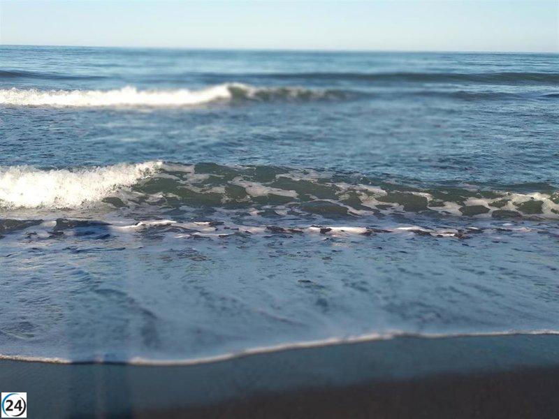 Tragedia en La Malagueta: un bañista pierde la vida en la playa de Málaga.