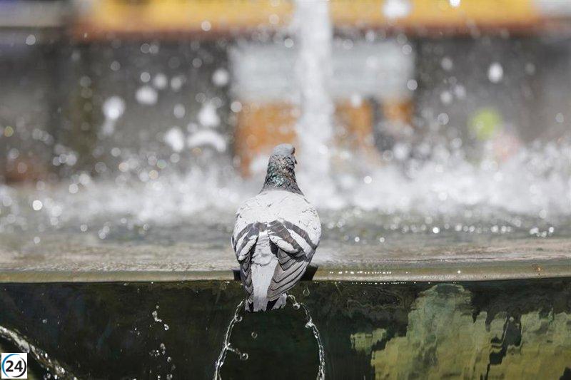 Andalucía se prepara para un nuevo episodio de calor extremo este martes, con temperaturas que podrían alcanzar los 41ºC.
