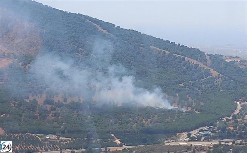 Incendio forestal devasta Fuente del Acebuche en Alhaurín el Grande, Málaga.