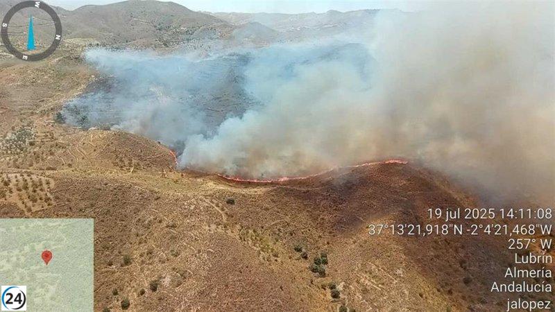 Dieciséis aviones y brigadas de bomberos luchan contra el incendio en Lubrín, Almería.