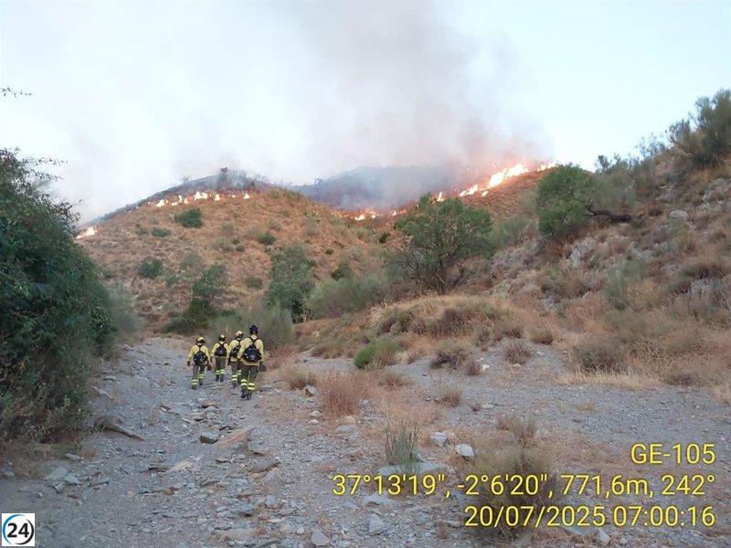 El Infoca enfrenta y trabaja para extinguir el incendio en Lubrín, Almería.