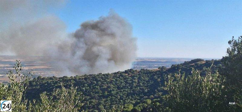 Incendio en montes de Córdoba causa desalojos y cierre de carretera.