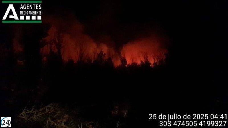 El Infoca lucha por contener un incendio forestal estabilizado en Puerto Bajo, Andújar.